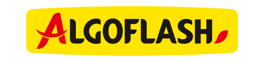 Logo-Algoflash
