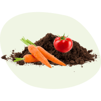 Potager et verger