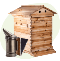 Abeilles et apiculture