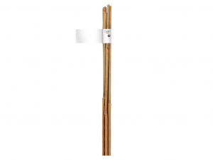 tuteur bambou naturel x3 - Notrene - 120 cm