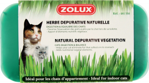 Herbe à chat dépurative naturelle - Zolux