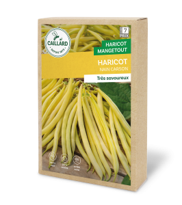 Haricot nain mangetout beurre carson - Caillard - 200 g