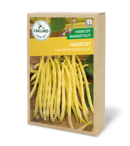 Haricot beurre rocquencourt - Caillard -  220 g
