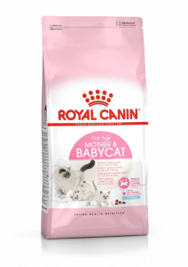 Croquettes pour chat - Royal Canin - Chatte et chaton - 2 kg