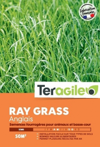 Ray grass anglais 10kg - Teragile