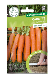 Ruban carotte yukon hybride f1 2x3m - 600 graines - Caillard