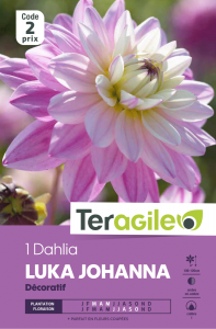 1 Dahlia Luka Johanna - Teragile