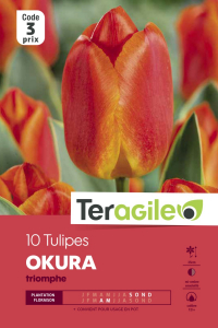 Tulipe Okura - Calibre 12/+ - X10Teragile