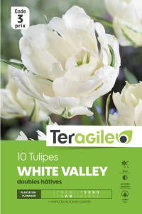 Tulipe double White Valley - Calibre 12/+ - X10