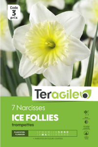 Narcisse triomphe Ice Follies - Calibre14/16 - X7
