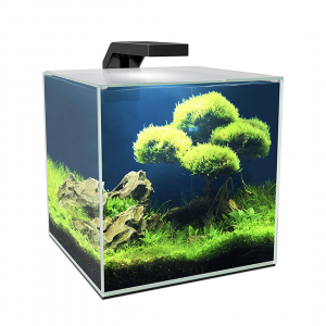 Aquarium Cube clear en verre - 10 litres