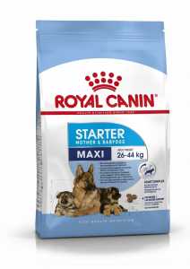 Croquettes pour chien - Royal Canin - Maxi Starter Maman et chiot - 4 kg