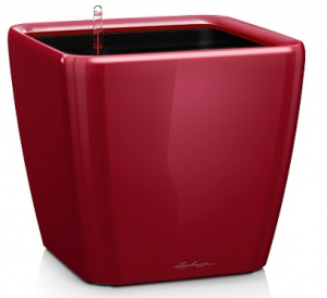 Pot quadro premium  LS 21 - Lechuza - Rouge scarlet brillant