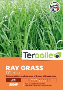 Ray grass Italie 500gr - Teragile