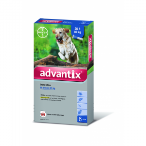 Traitement antiparasitaire grand chien 25 à 40 kg - 6 pipettes - Bayer - Advantix 