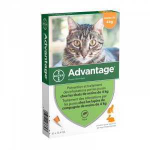 Solution anti-puces pour chats et lapins - Advantage - moins de 4 kg - x6