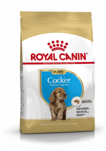 Aliment chien - Royal Canin - Cocker Junior - 3 kg