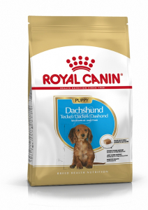 Aliment chien - Royal Canin - Teckel Chiot - 1,5 kg