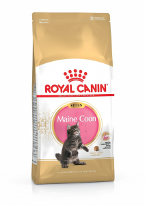 Croquettes pour chaton - Royal Canin - Kitten Maine Coon - 2 kg