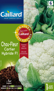 Chou fleur cartier hybride F1 - Graines- Caillard