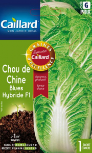 Chou de Chine blues hybride F1 - Graines - Caillard