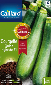 Courgette quine hybride F1 - Graines - Caillard