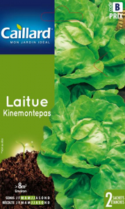 Laitue Kinemontepas - Graines - Caillard