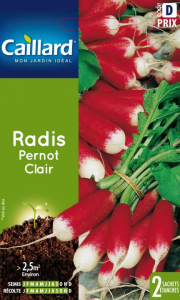 Radis pernot clair - Graines - Caillard