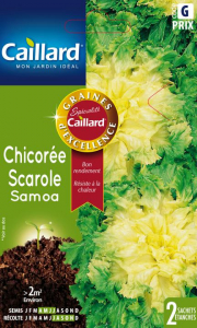Chicorée scarole samoa - Graines - Caillard