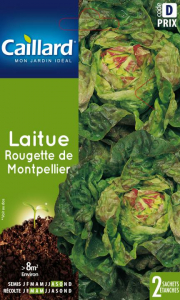 Laitue - Rougette de montpellier - Graines - Caillard