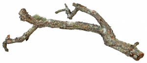 Mélange de branches de liège - Trixie - 15 kg