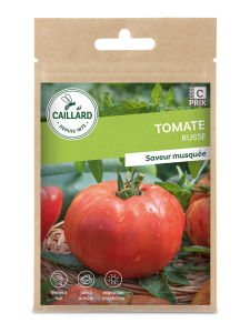 Tomate russe - Graines - Caillard