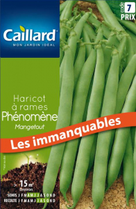Haricot à rames mangetout Phénomène - Graines - Caillard