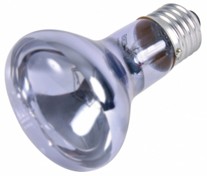 Lampe spot neodymium à chaleur - Reptiland - 50 W