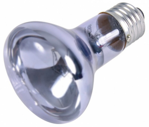 Lampe spot neodymium à chaleur - Reptiland - 75 W