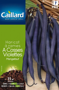 Haricot à rames mangetout à cosses violettes - Graines - Caillard