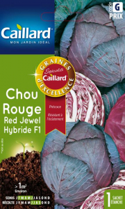 Chou rouge red jewel hydride F1 - Graines - Caillard