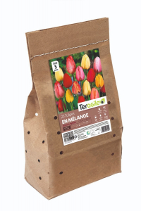 Tulipe darwin - Variées - Calibre 11/12- X25