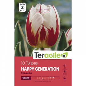 Tulipe triomphe happy generation - Calibre 12/+ - X10
