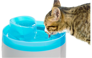 Fontaine à eau 2 L pour chat - Zolux
