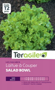 Laitue à couper salad bowl - Graines - Teragile