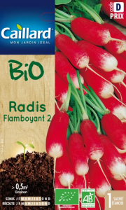 Radis flamboyant 2 - Bio - Graines - Caillard