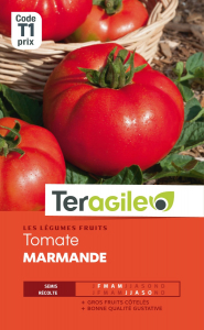 Tomate marmande - Graines - Teragile