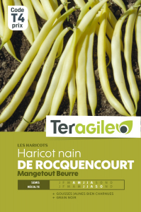 Haricot nain mangetout beurre de rocquencourt - Graines - Teragile