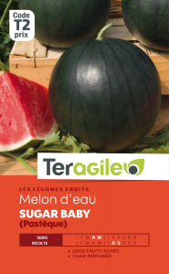 Pastèque Sugar baby - Graines - Teragile