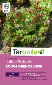 Laitue batavia rouge grenobloise - Graines - Teragile