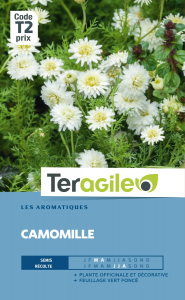 Camomille - Graines - Teragile