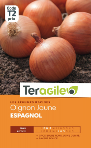 Oignon jaune espagnol - Graines - Teragile