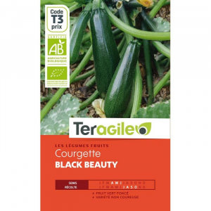 Courgette black beauty - Bio - Graines - Teragile