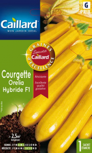 Courgette Orelia hybride F1 - Graines -Caillard